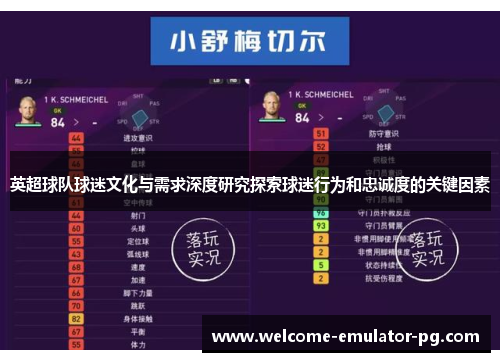 英超球队球迷文化与需求深度研究探索球迷行为和忠诚度的关键因素