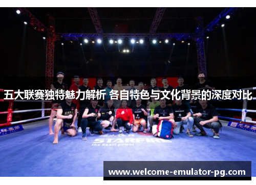 五大联赛独特魅力解析 各自特色与文化背景的深度对比
